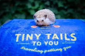 Tiny Tails To You gallery 2