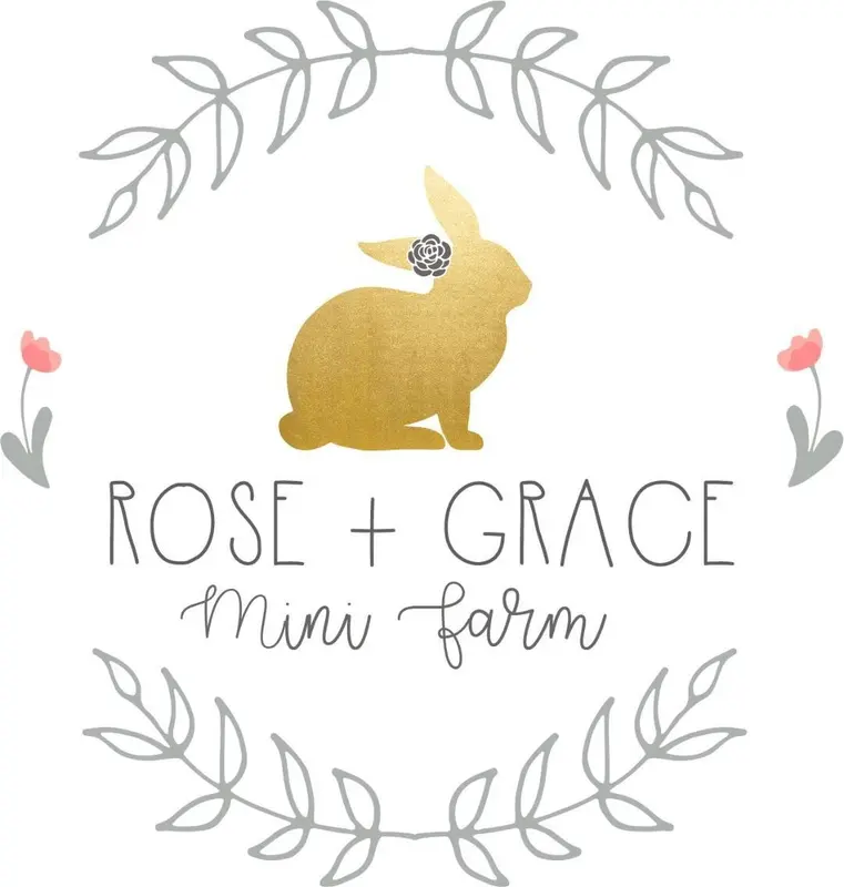 Rose and Grace Mini Farm