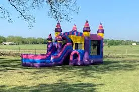 The Bounce House Party