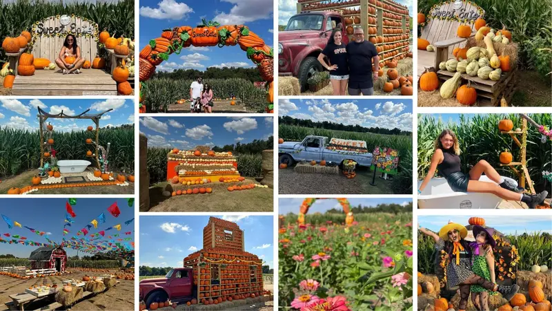 Sweet Eats Adventure Farm & Petting Zoo