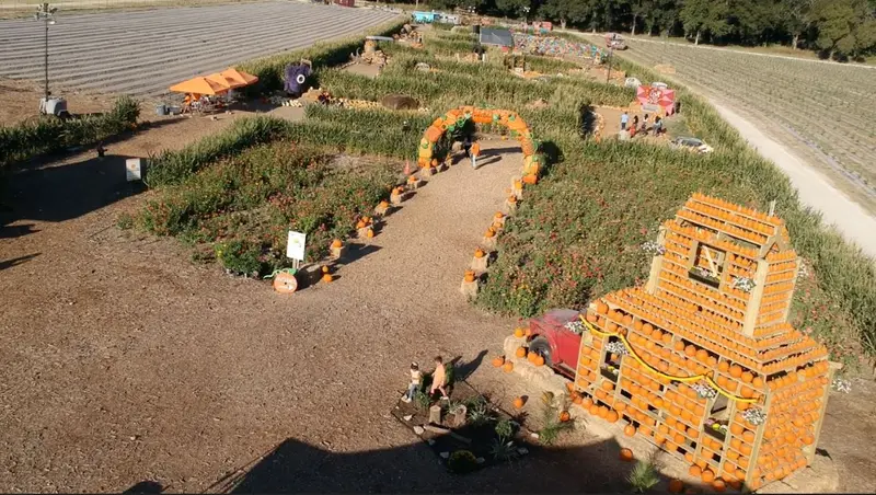Sweet Eats Adventure Farm & Petting Zoo gallery 4