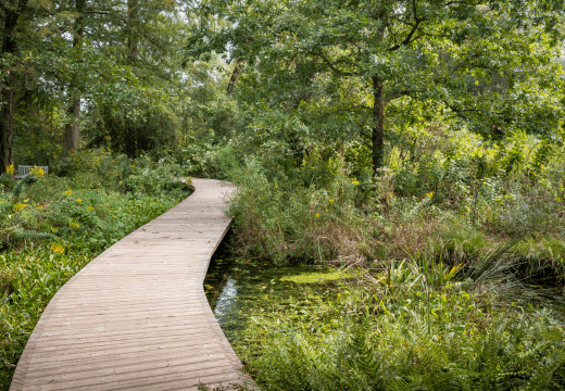 Houston Arboretum & Nature Center gallery 5