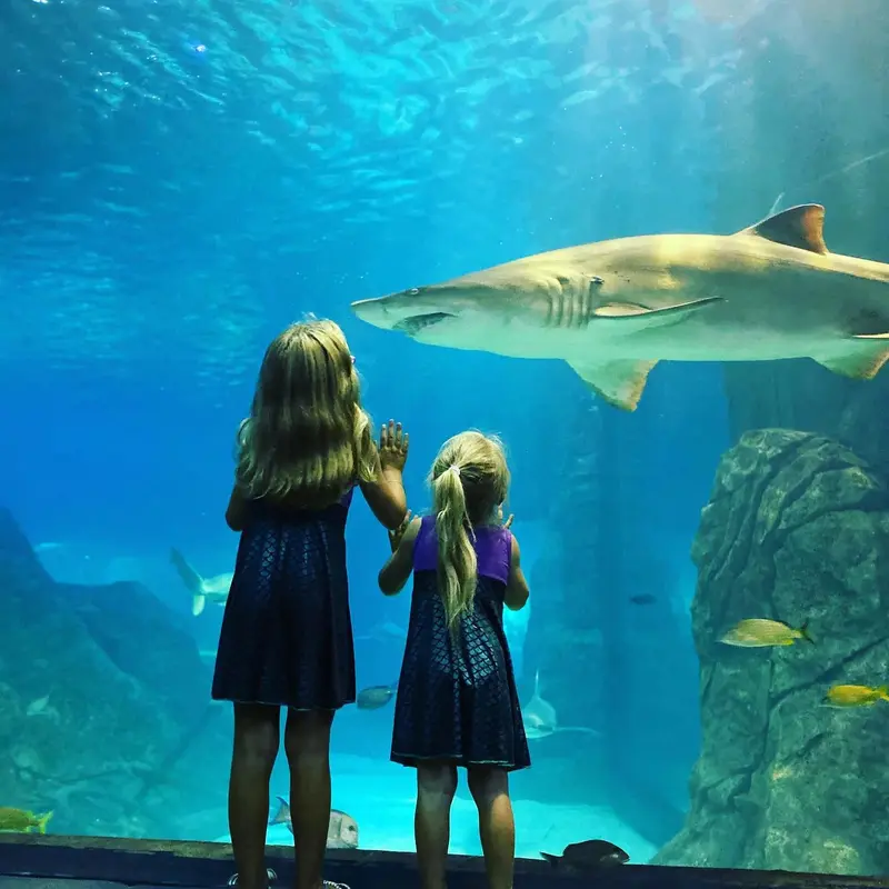 Adventure Aquarium gallery 2