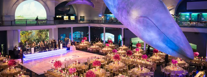American Museum of Natural History