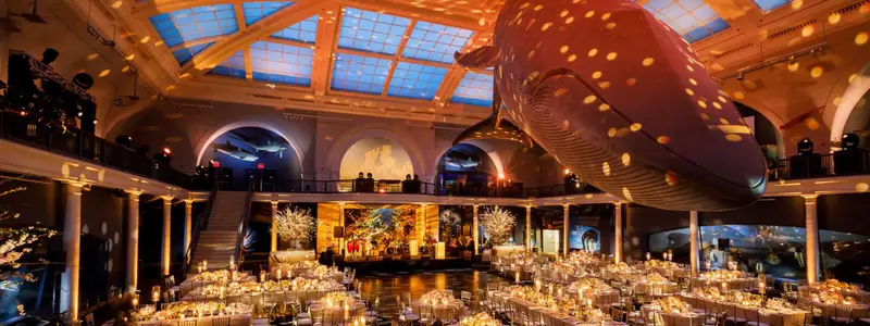American Museum of Natural History gallery 2