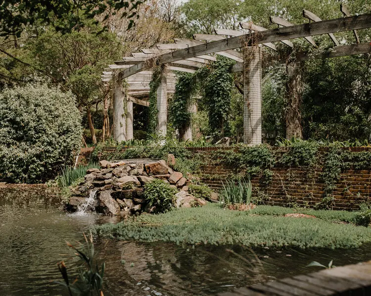 Texas Discovery Gardens gallery 3