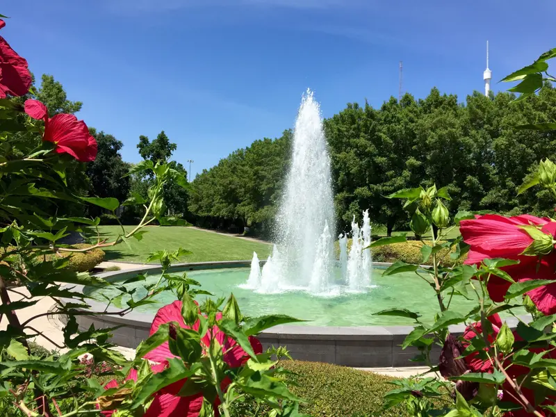 Texas Discovery Gardens gallery 4