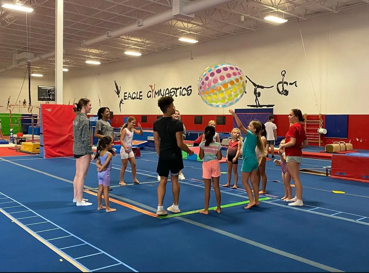 Eagle Gymnastics Academy Frisco gallery 5