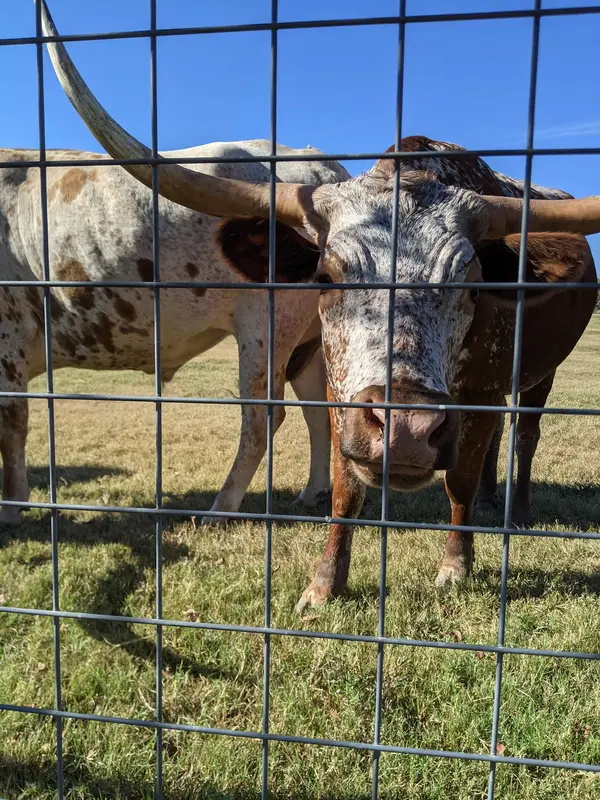 Ranch Austin gallery 5