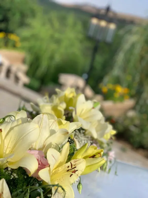 باغ آتلیه کنار konar Garden wedding venue gallery 4