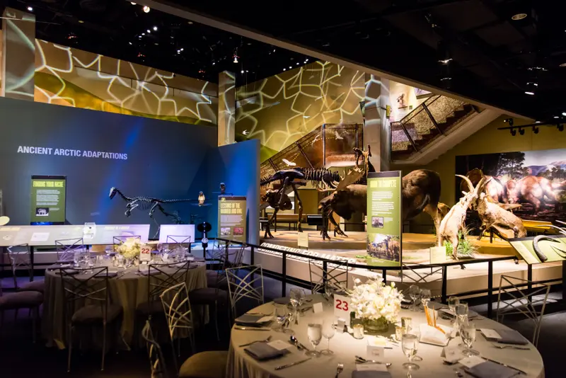 Perot Museum of Nature and Science gallery 4