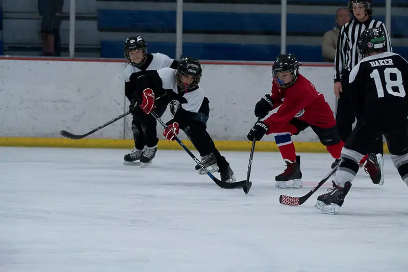 Sugar Land Ice & Sports Center gallery 2