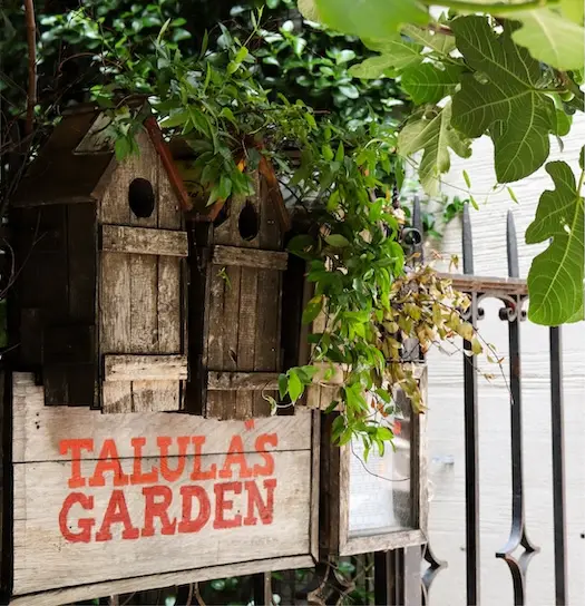 Talula's Garden gallery 2