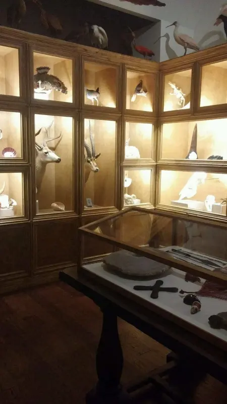 Houston Museum of Natural Science gallery 4