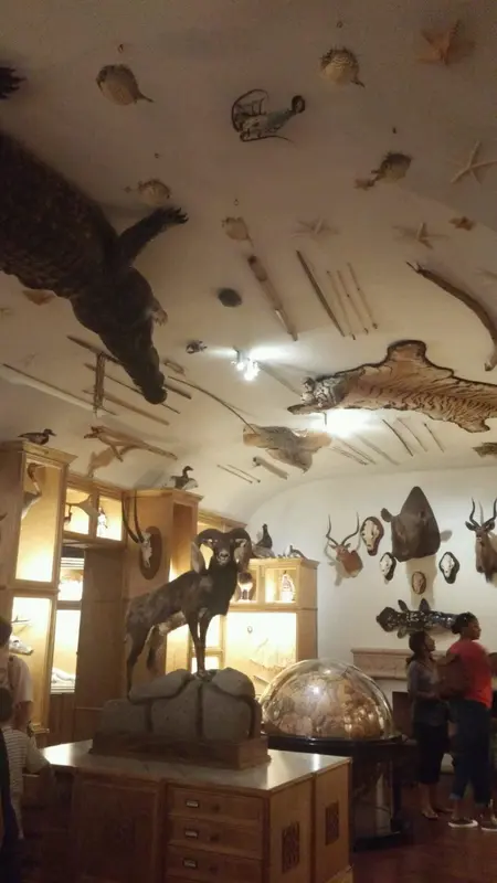 Houston Museum of Natural Science gallery 5
