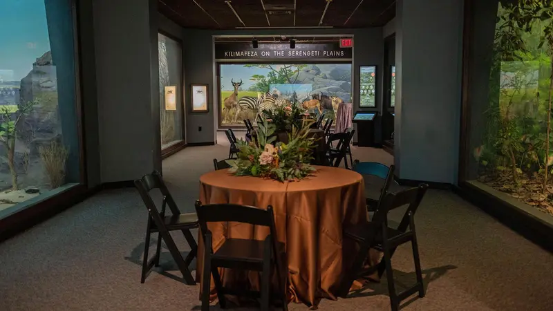 Academy of Natural Sciences of Drexel University gallery 4