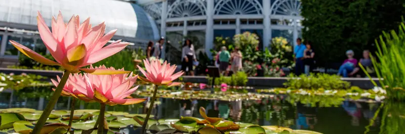 New York Botanical Garden
